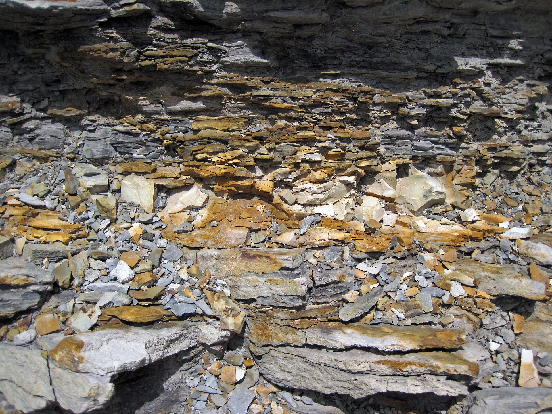 Dinosaur Fossils at Dinosaur Ridge, Colorado | GoFossilHunting