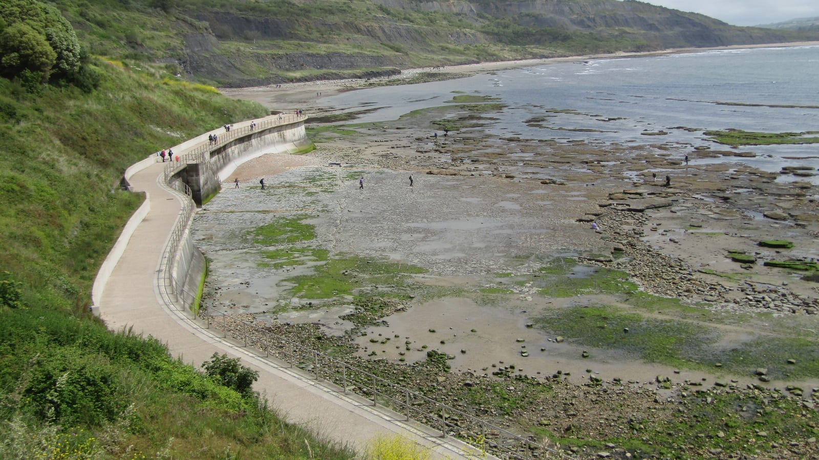 Curving seawall path with people on the wide rocky shelf at low tide below Church Cliffs at Lyme Regis, Dorset.