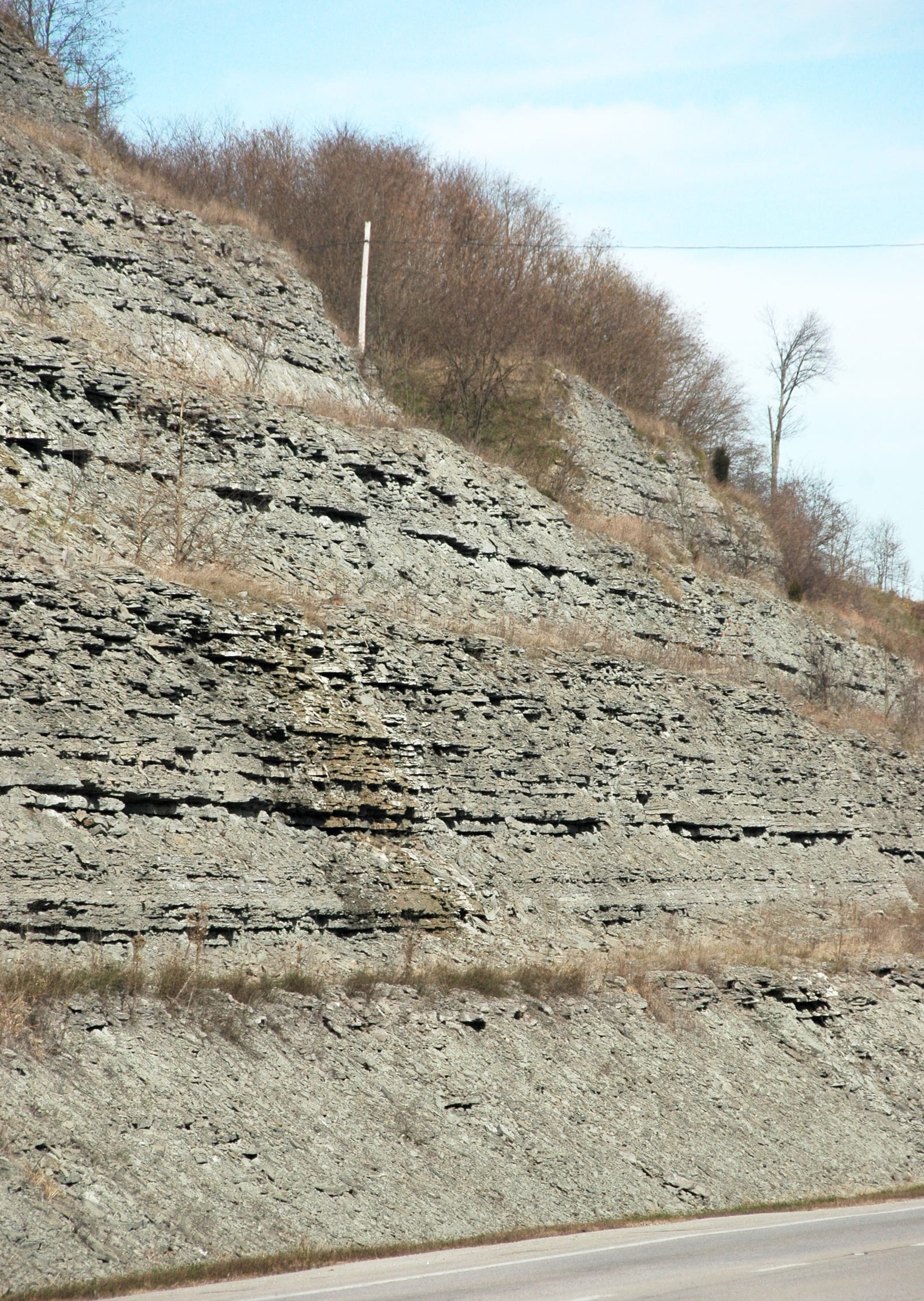 Interbedded fossiliferous limestone and shale of the Kope and Fairview Formations in a roadcut at Maysville, Kentucky.