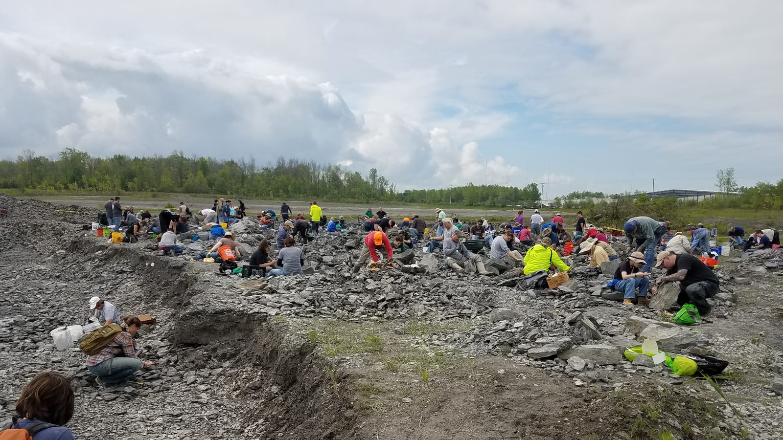 Dozens of visitors digging across a layered shale spoil field with buckets and tools on a busy day at Penn Dixie, NY.