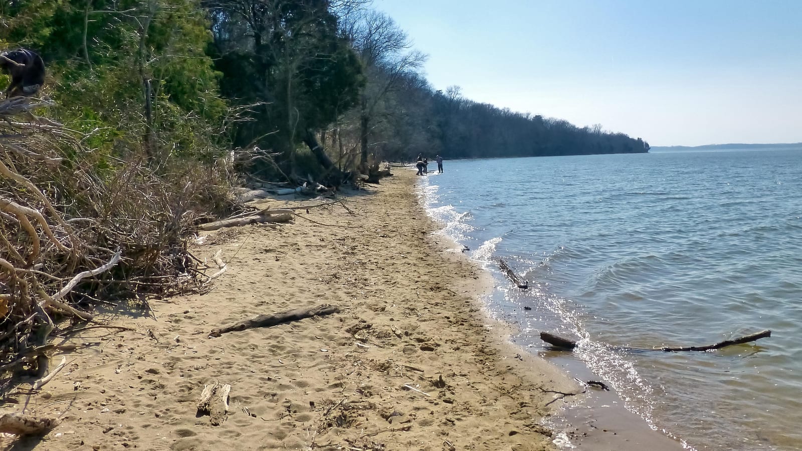 Wide sandy Potomac shoreline backed by bare winter trees with figures walking ahead at Purse State Park, Maryland.
