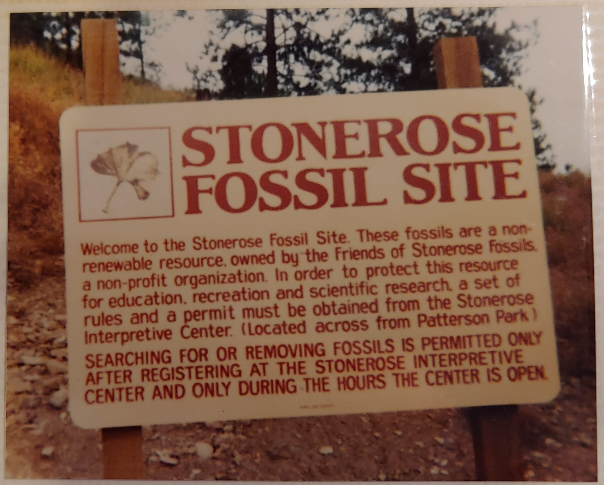 Roadside interpretive sign reading 'Stonerose Fossil Site' with collecting rules posted in Republic, Washington.