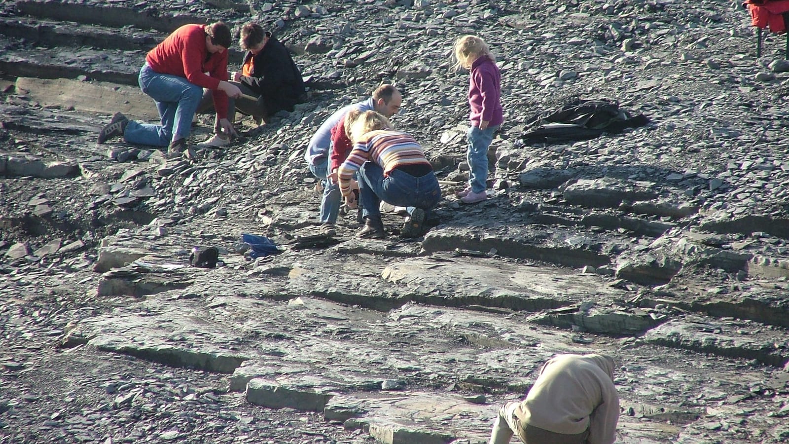 Group of visitors kneeling and splitting dark shale slabs across the spoil floor of the Holzmaden quarry, Germany.