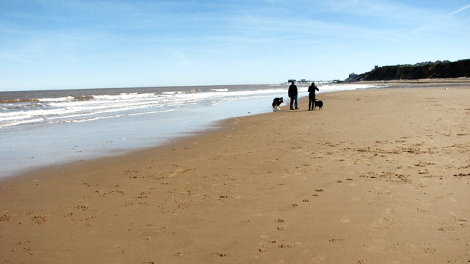 Flat sandy beach with a couple walking two dogs near the surf, distant pier and low cliffs at West Runton, Norfolk.